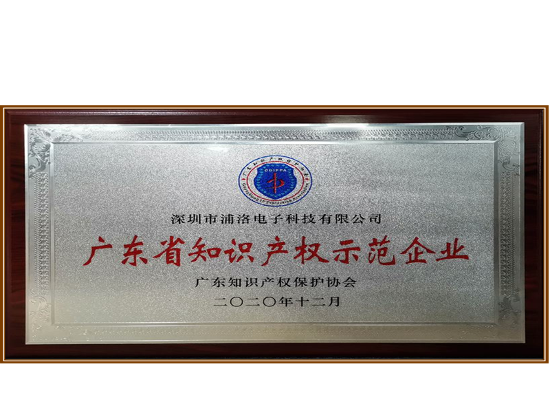 廣東省知識產權示范企業